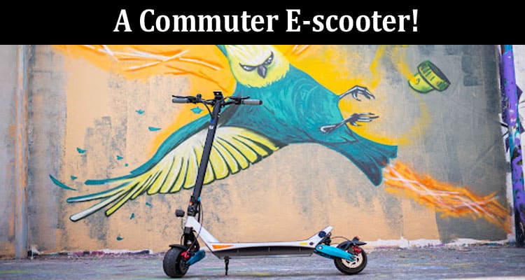 Surprise Mom with a Green Mother's Day Gift - A Commuter E-scooter!