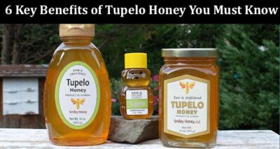 Top 6 Key Benefits of Tupelo Honey You Must Know
