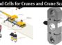 Understanding Load Cells for Cranes and Crane Scales with 500kg Capacity