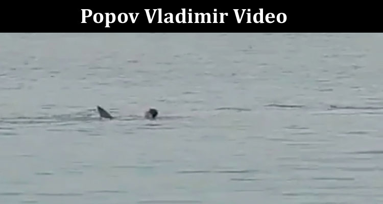 Latest News Popov Vladimir Video