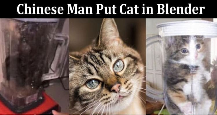 Latest News Chinese Man Put Cat in Blender
