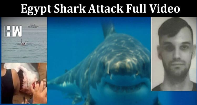 Latest News Egypt Shark Attack Full Video