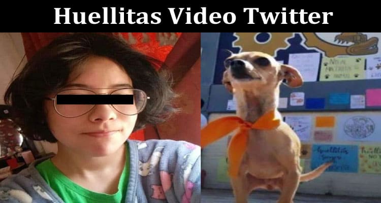 Latest News Huellitas Video Twitter