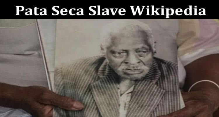 Latest News Pata Seca Slave Wikipedia
