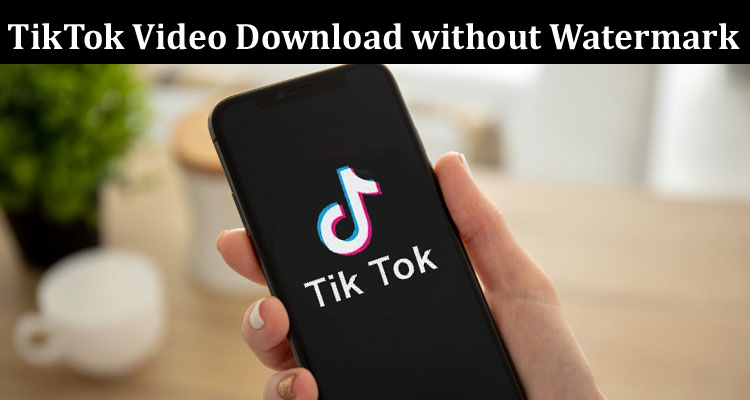 Complete Information About Convenient and Reliable TikTok Video Download without Watermark with PPPTik