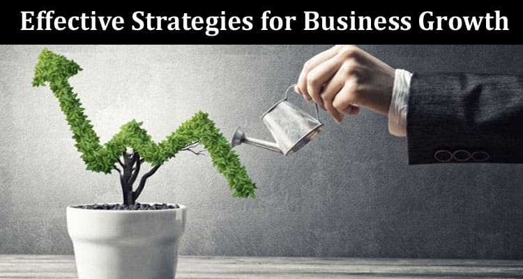 How to Effective Strategies for Business Growth and Expansion