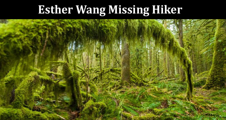 Latest News Esther Wang Missing Hiker