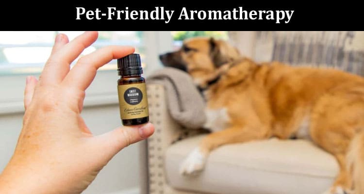 Pet-Friendly Aromatherapy Navigating the Use of Eucalyptus with Canines