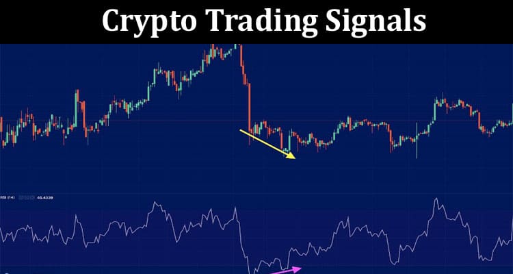 The Power of Signal Groups and Crypto Trading Signals