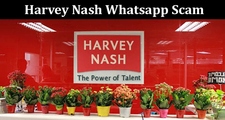 Harvey Nash Whatsapp Online Website Reviews