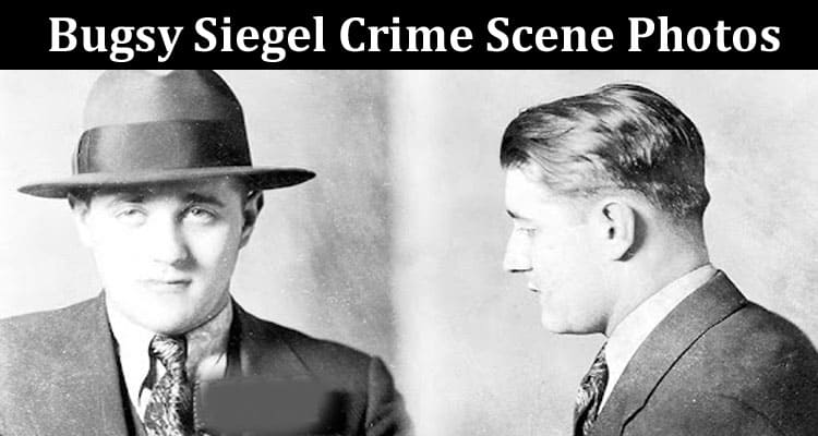 Latest News Bugsy Siegel Crime Scene Photos