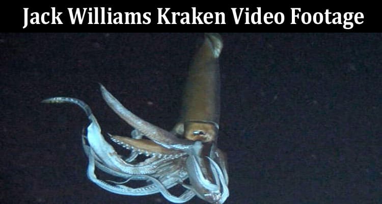 Latest News Jack Williams Kraken Video Footage