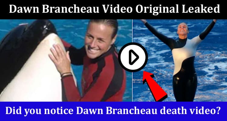 Latest News Dawn Brancheau Video Original Leaked