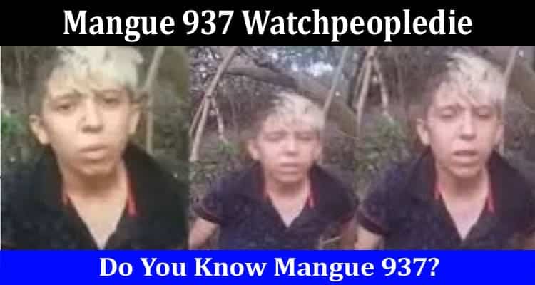Latest News Mangue 937 Watchpeopledie