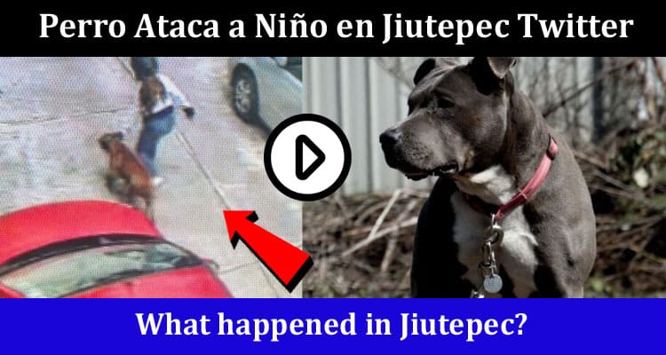 Latest News Perro Ataca a Niño en Jiutepec Twitter