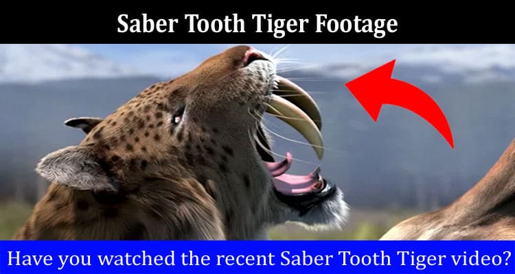 Latest News Saber Tooth Tiger Footage