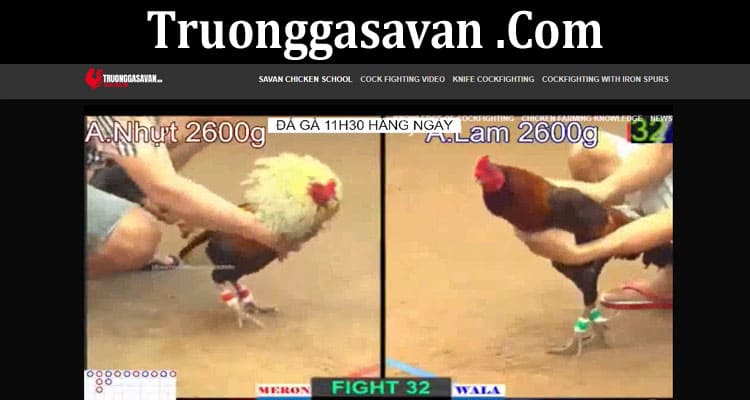 Latest News Truonggasavan .Com