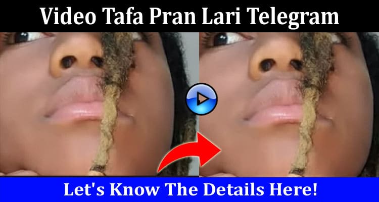 Latest News Video Tafa Pran Lari Telegram