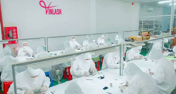 Vin Lash Private Label Factory Stand Out in the Global Market