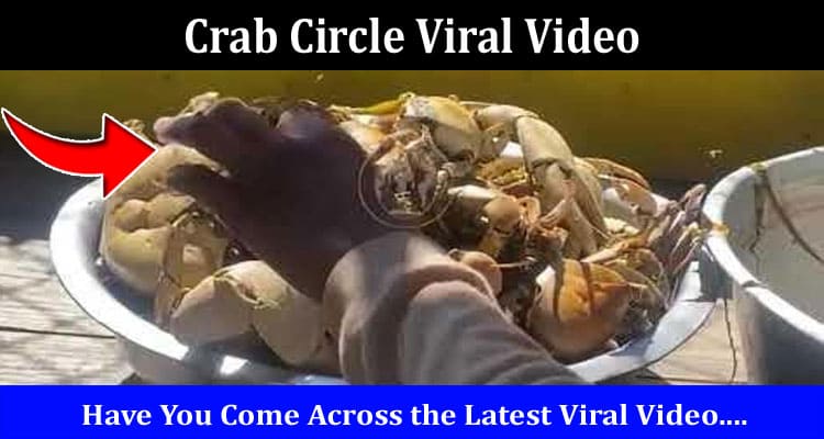 Latest News Crab Circle Viral Video