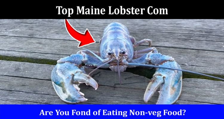 Top Maine Lobster Com Online Wesbite Reviews