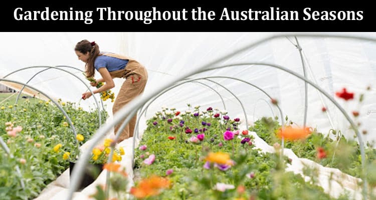 Gardening Throughout the Australian Seasons A Comprehensive Guide