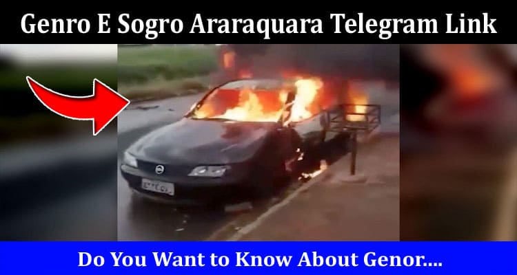 Latest News Genro E Sogro Araraquara Telegram Link