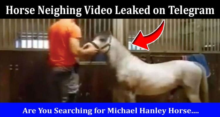 Latest News Horse Neighing Video Leaked on Telegram