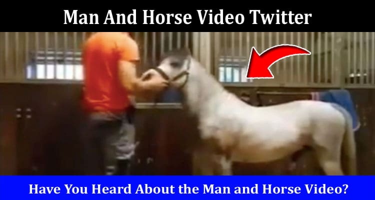 Latest News Man And Horse Video Twitter