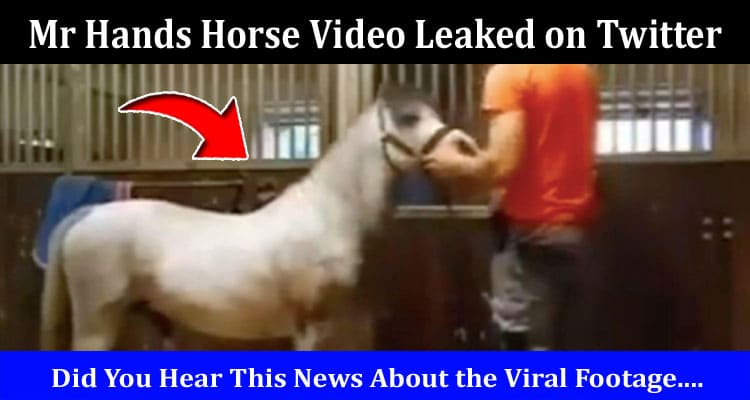 Latest News Mr Hands Horse Video Leaked on Twitter