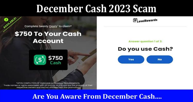 December Cash 2023 Scam Online Website Reviews