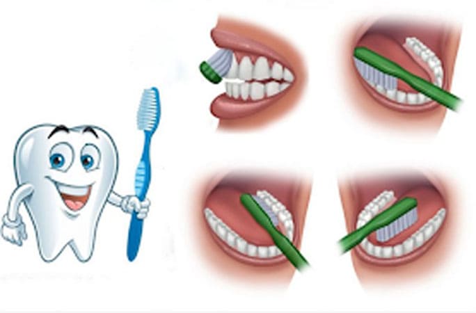 Escovando OS Dentes Portal Do Zacarias