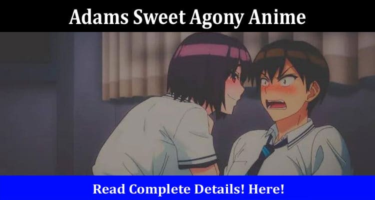 Latest News Adams Sweet Agony Anime