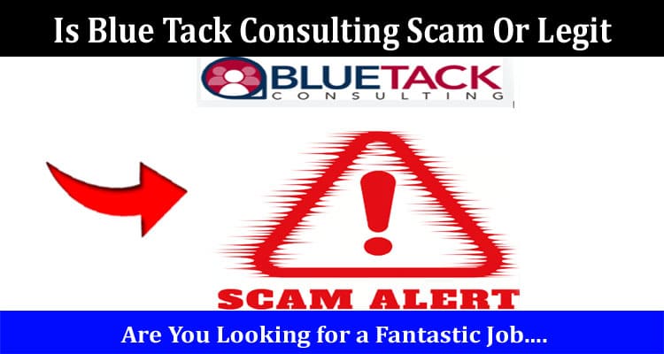 Latest News Is Blue Tack Consulting Scam Or Legit