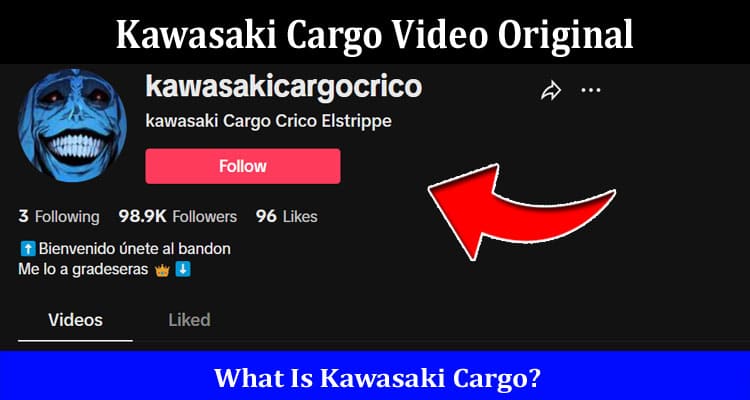 Latest News Kawasaki Cargo Video Original