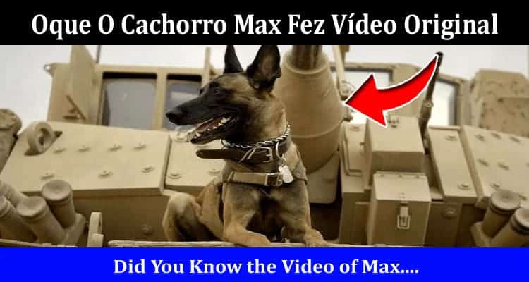 Latest News Oque O Cachorro Max Fez Vídeo Original
