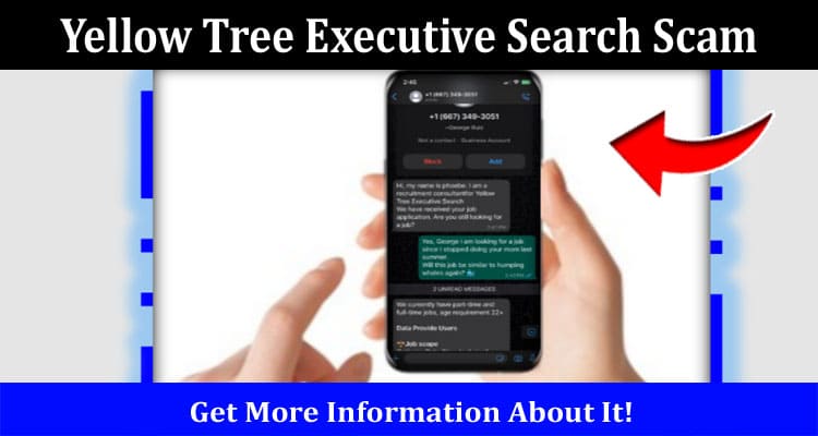Latest News Yellow Tree Executive Search Scam