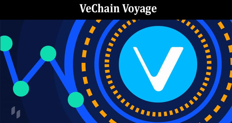 VeChain Voyage The Journey of VET and Bitcoin Integration