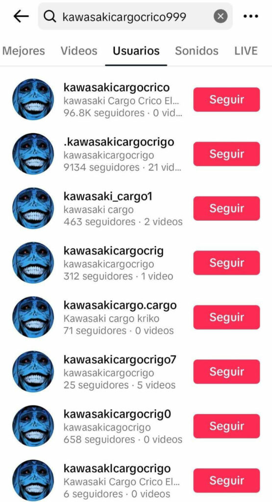 What is Kawasaki Cargo Gore Content