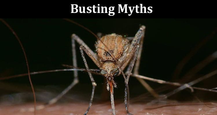 Busting Myths Why Pest Control is Crucial Even in Winter