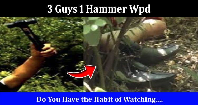 Latest News 3 Guys 1 Hammer Wpd