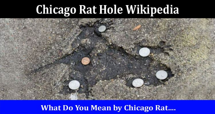Latest News Chicago Rat Hole Wikipedia