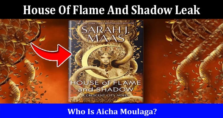 Latest News House Of Flame And Shadow Leak