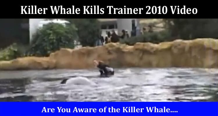 Latest News Killer Whale Kills Trainer 2010 Video