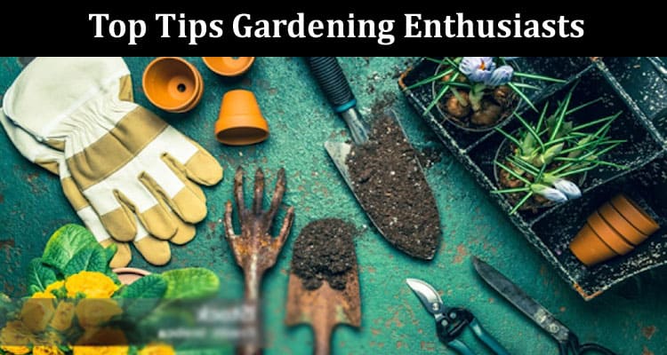 Top Tips Gardening Enthusiasts Should Consider When Creating Their Outdoor Spaces