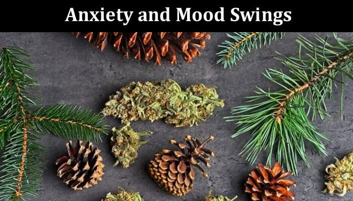 Complete Information Terpene as an Ally for Anxiety and Mood Swings