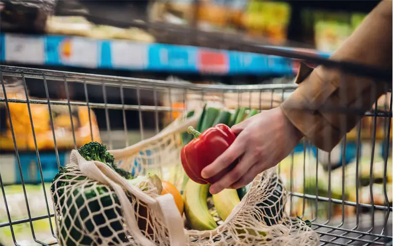 Budgeting 101: Best Tips on Saving Money on Groceries